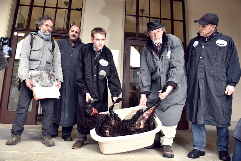 Sebastian Ostmann (links) trägt ein gerissenes Schaf vor das Umweltministerium